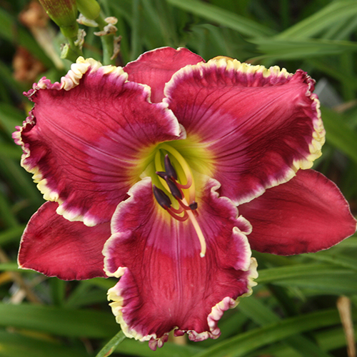 РЕАКТИВНЫЙ САМОЛЕТ РЕАКТИВНЫЙ САМОЛЕТ